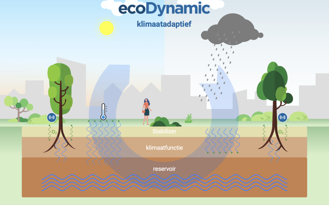 Ondergrondse wateropslag door capillaire werking