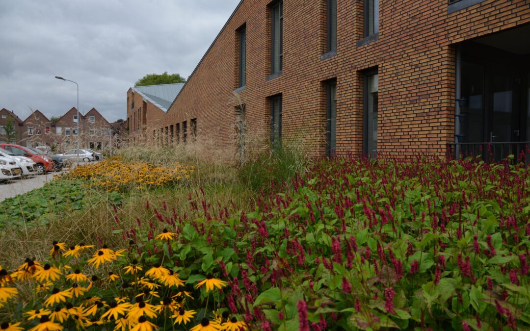 Behoud de kracht van de lente!